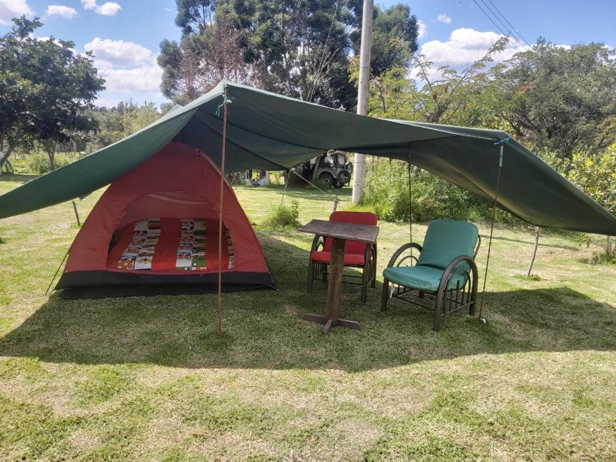 Hospedaje Y Zona De Camping Pistacho Konuk evi Villa de Leyva Dış mekan fotoğraf