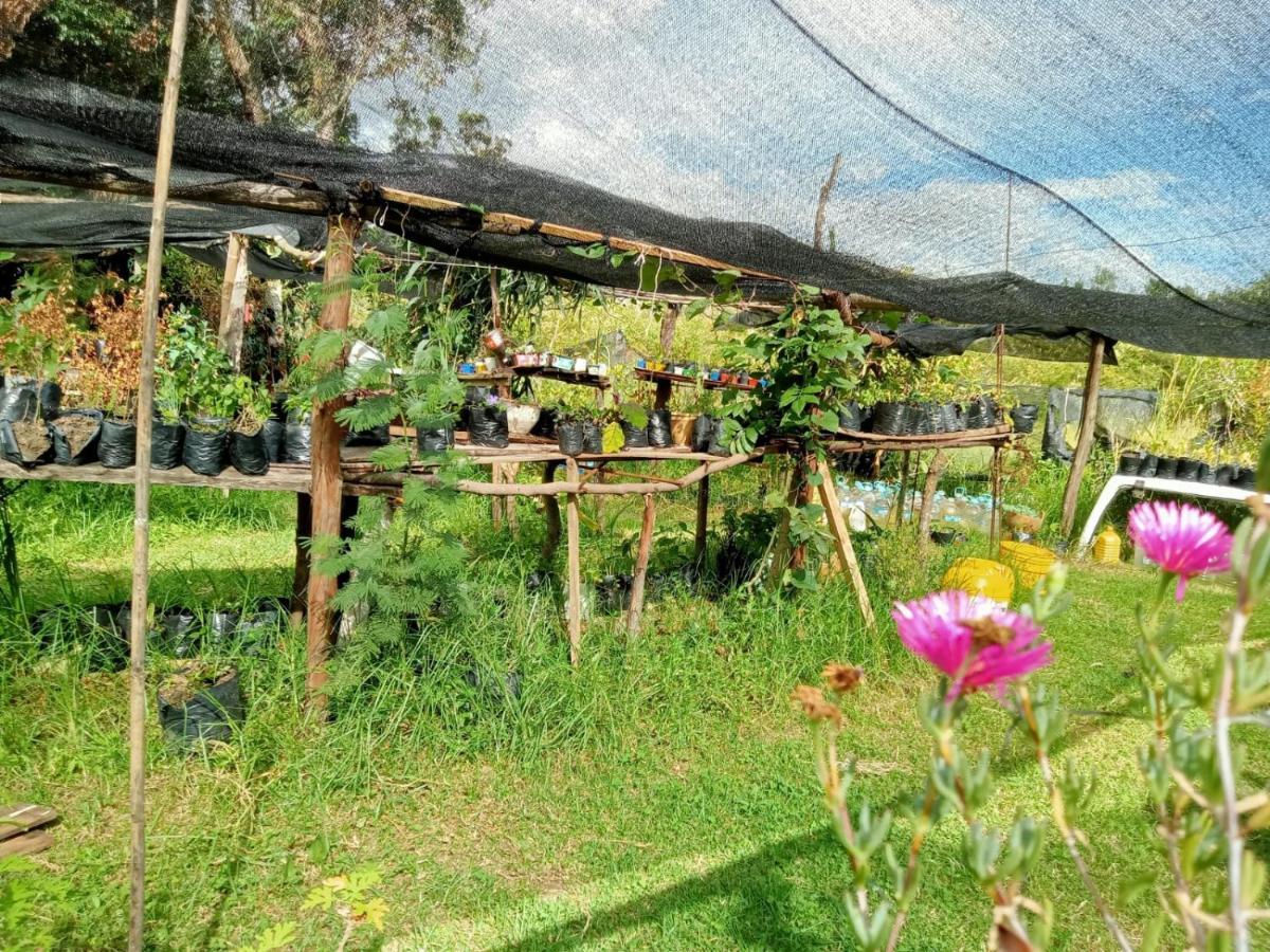 Hospedaje Y Zona De Camping Pistacho Konuk evi Villa de Leyva Dış mekan fotoğraf