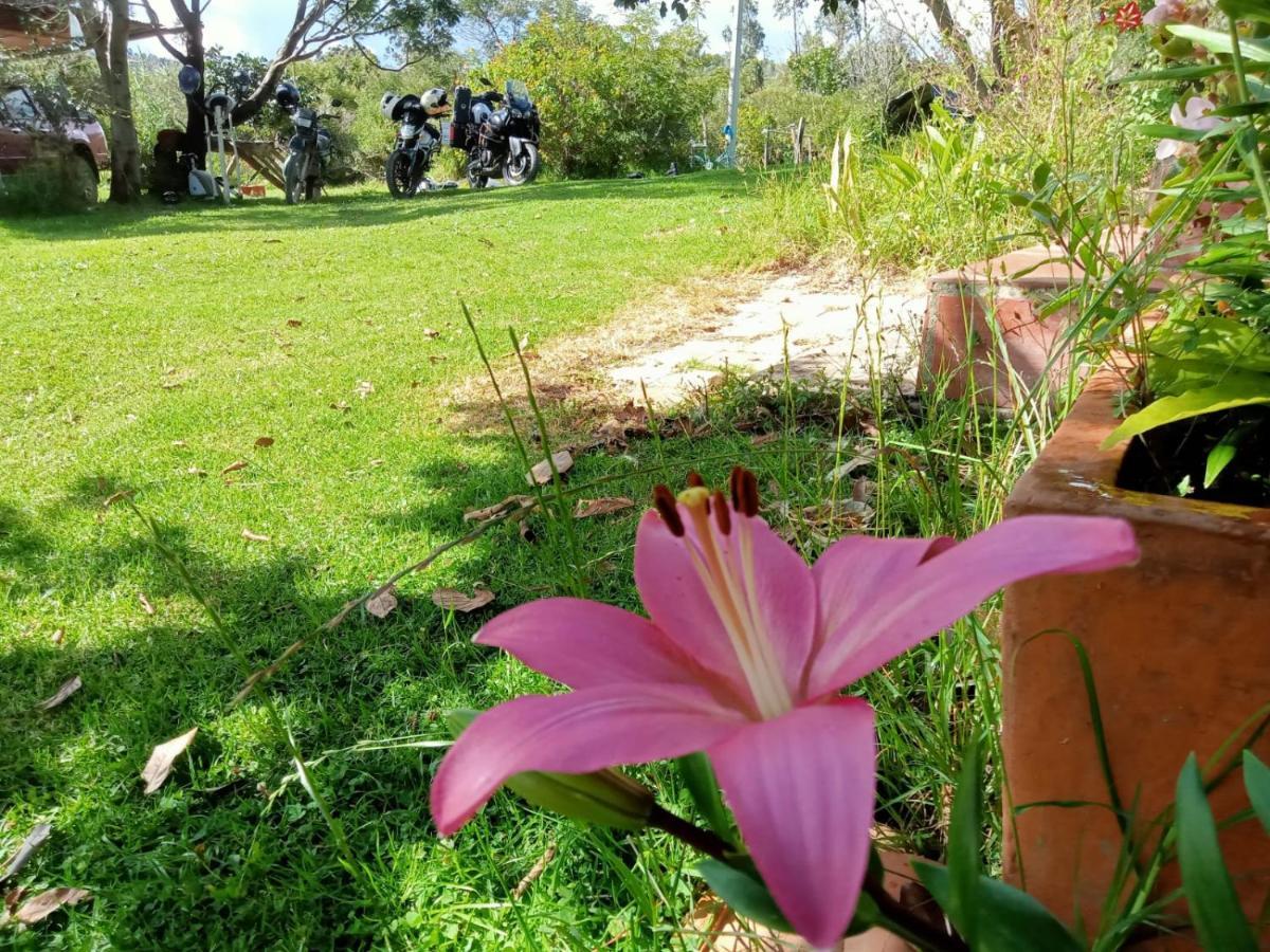 Hospedaje Y Zona De Camping Pistacho Konuk evi Villa de Leyva Dış mekan fotoğraf