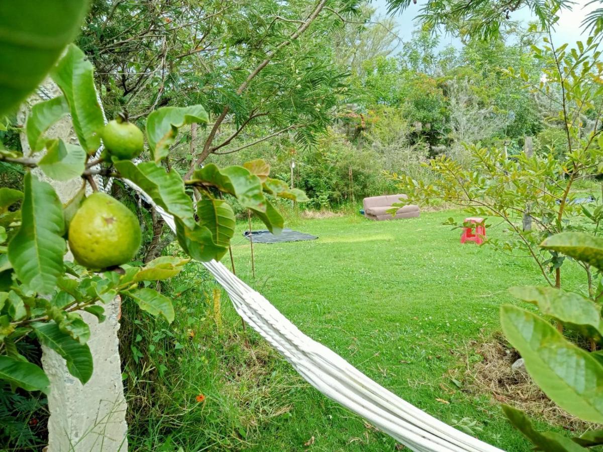 Hospedaje Y Zona De Camping Pistacho Konuk evi Villa de Leyva Dış mekan fotoğraf