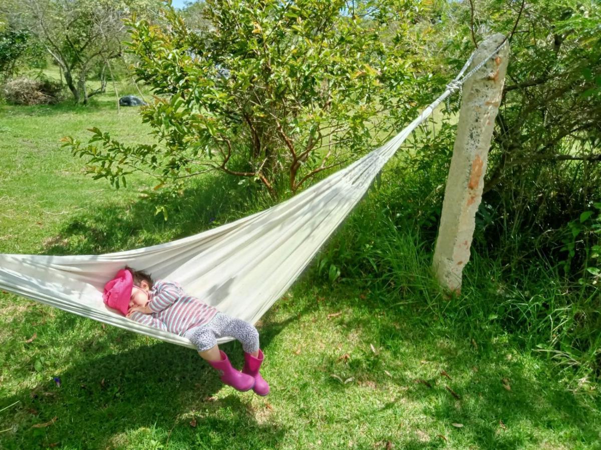 Hospedaje Y Zona De Camping Pistacho Konuk evi Villa de Leyva Dış mekan fotoğraf