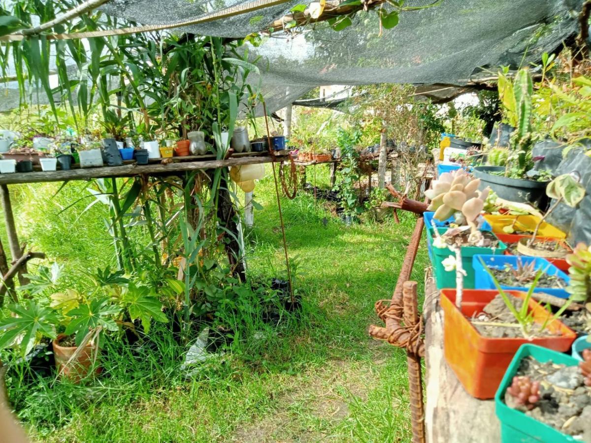 Hospedaje Y Zona De Camping Pistacho Konuk evi Villa de Leyva Dış mekan fotoğraf