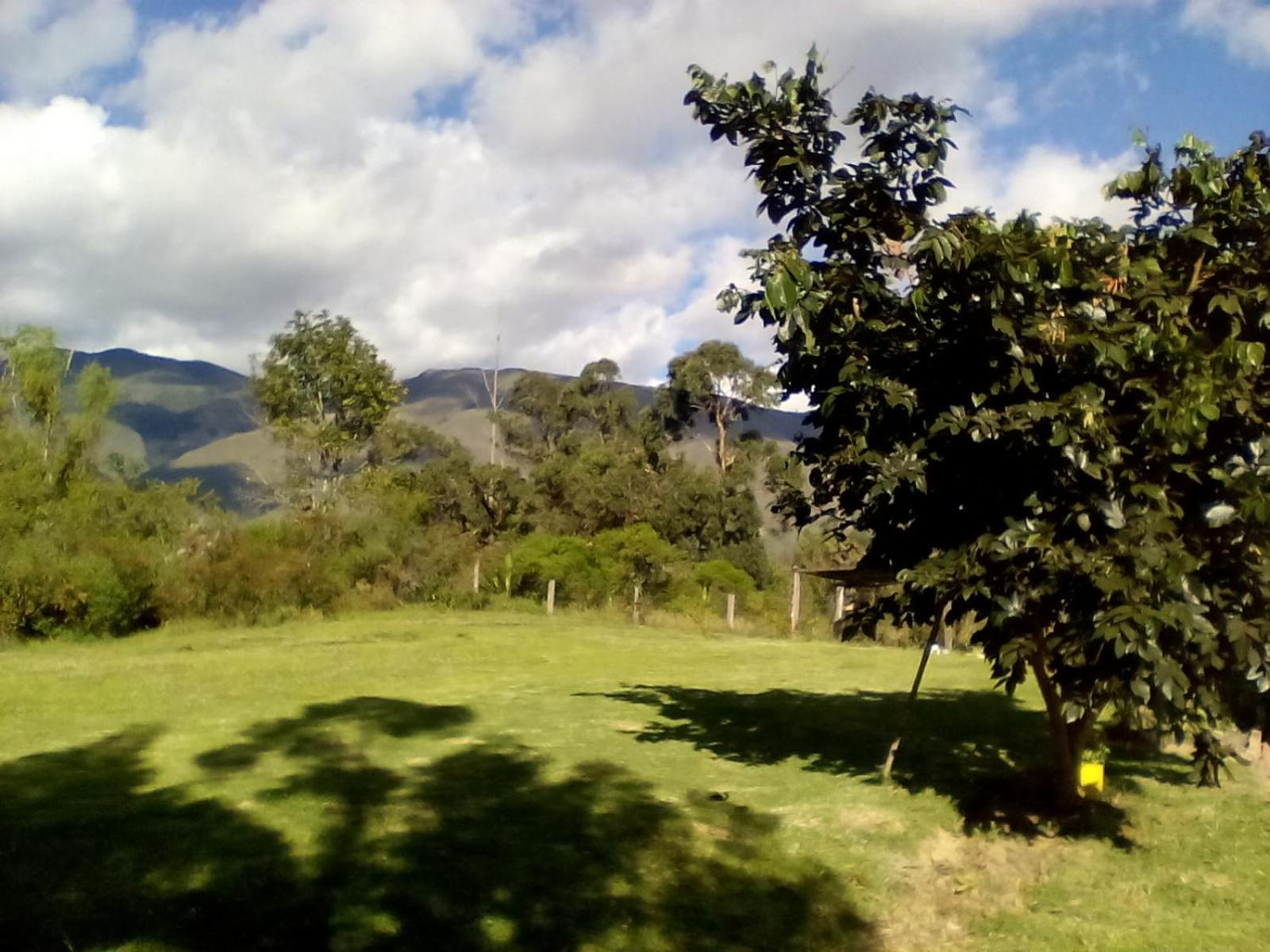 Hospedaje Y Zona De Camping Pistacho Konuk evi Villa de Leyva Dış mekan fotoğraf
