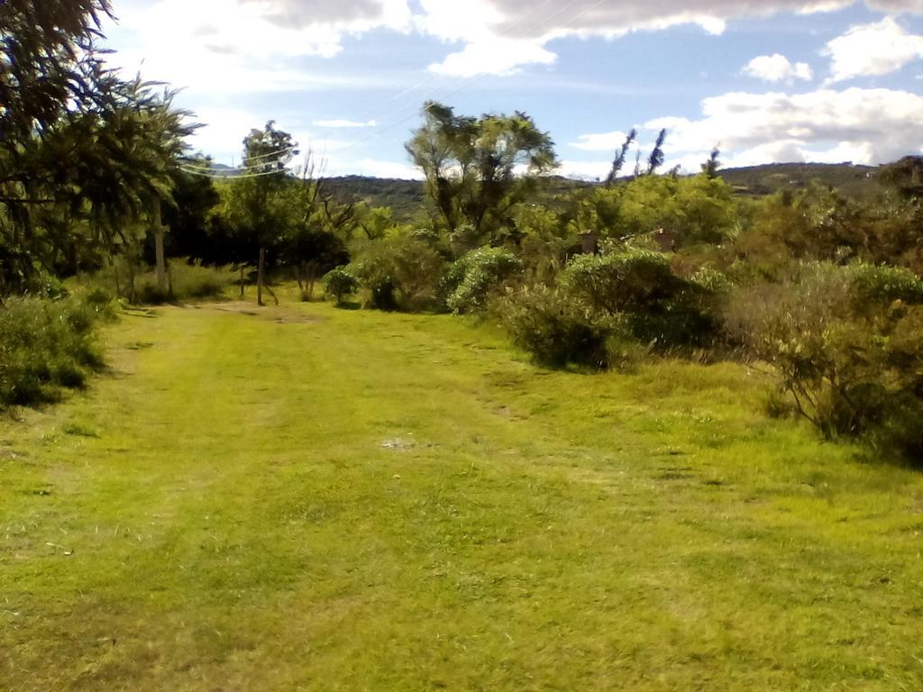 Hospedaje Y Zona De Camping Pistacho Konuk evi Villa de Leyva Dış mekan fotoğraf